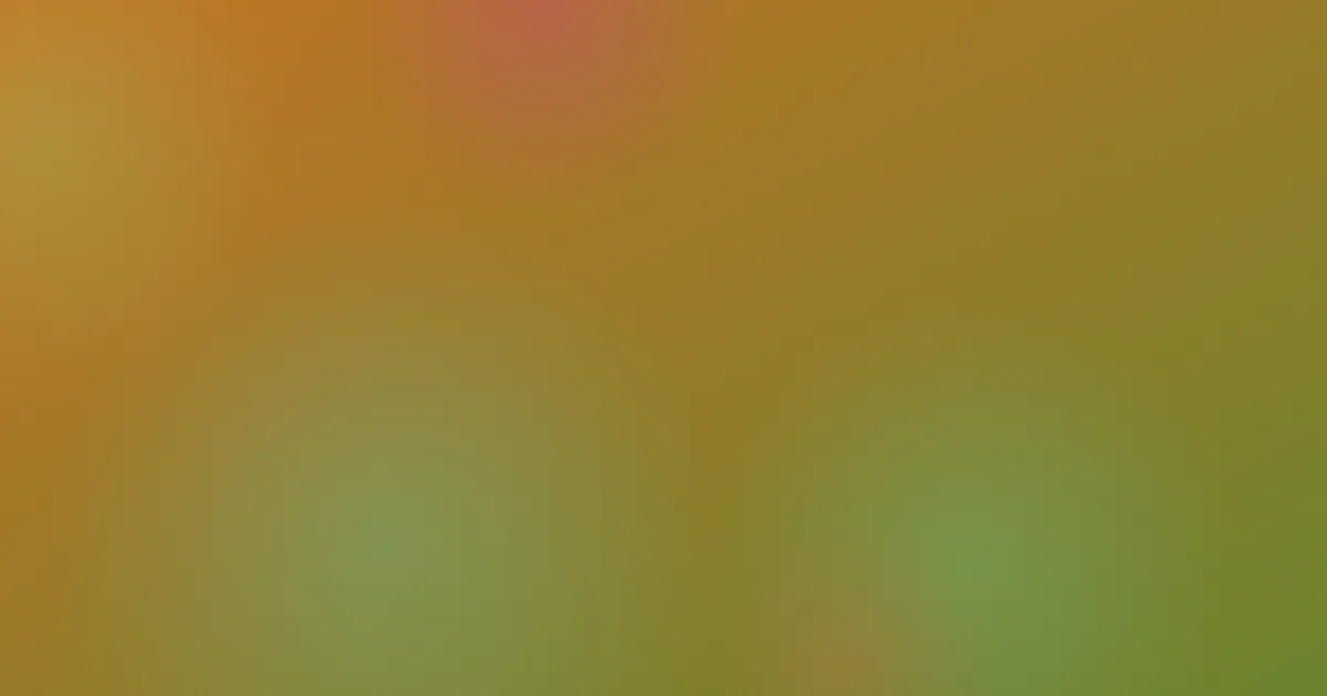 情满九道湾避坑指南